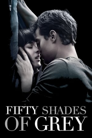 Fifty Shades of Grey 2015 Hindi Dual Audio 480p BluRay 400MB