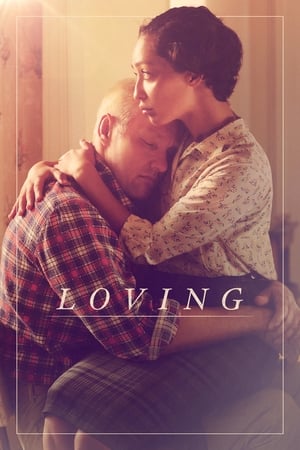 Loving (2016) Hindi Dual Audio 720p BluRay [1.2GB]